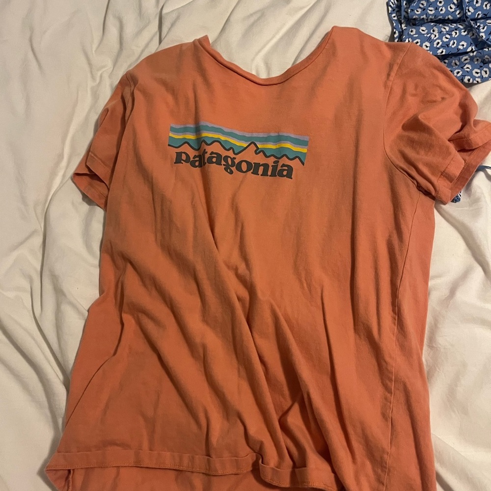 Patagonia Tshirt size small